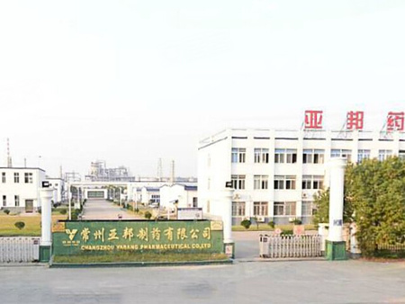 双师资教学 第339页