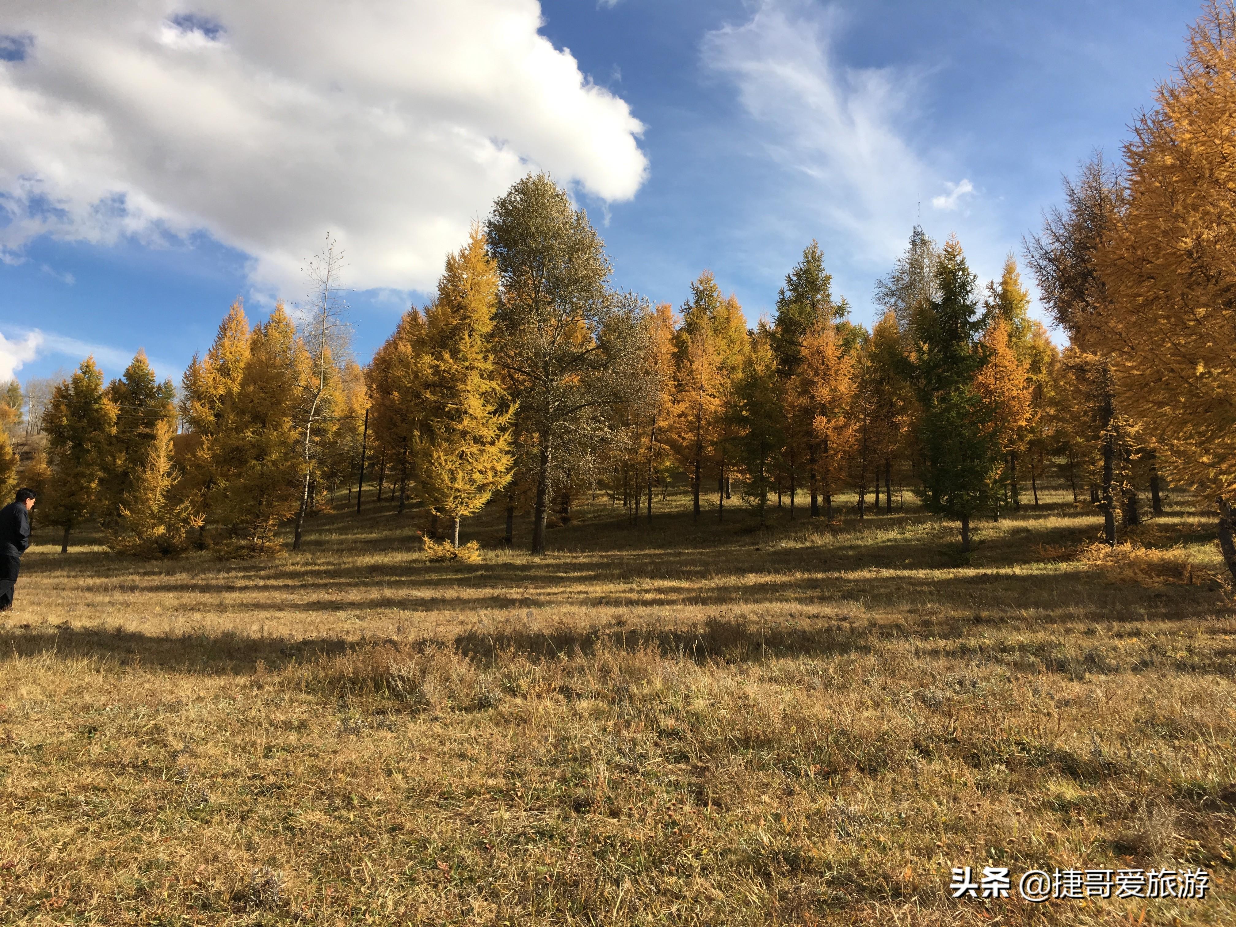 张家口最新房价及房源信息，共启自然美景探索之旅