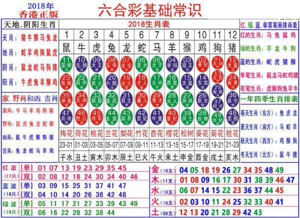 澳门三肖三码生肖资料,全身心数据计划_MSL47.794专业版