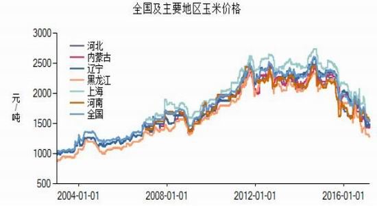 玉米最新价格走势揭秘，背后的温馨故事浮出水面