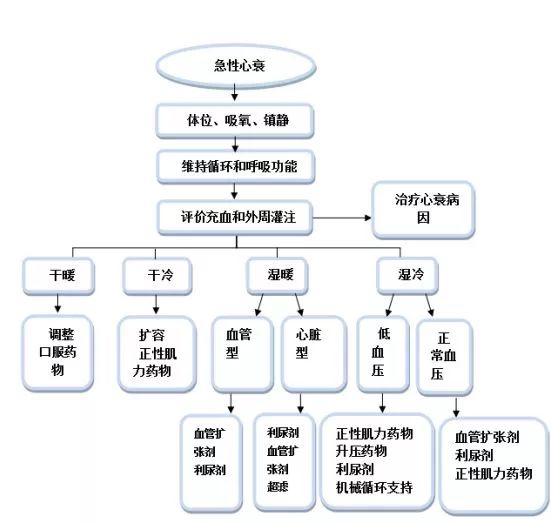 最新心力衰竭治疗指南,最新心力衰竭治疗指南，重塑心脏健康之路