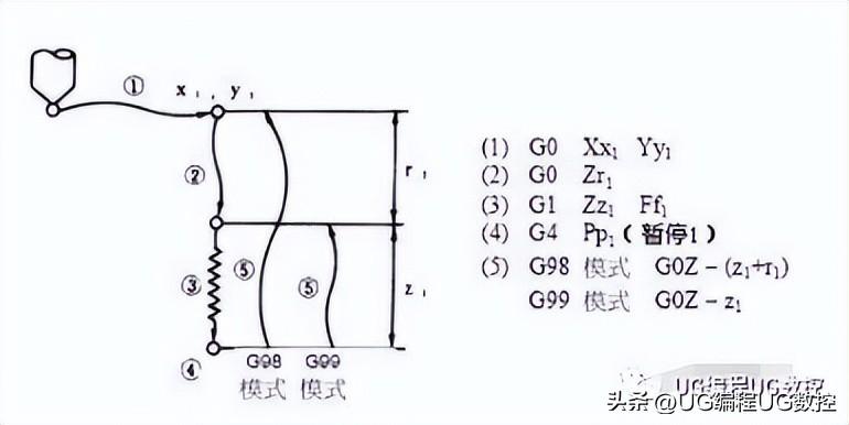 最新七钻代码深度解析与应用展望