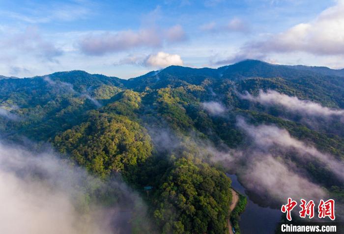 尖峰岭直播，见证历史的重要时刻，深度追溯背景